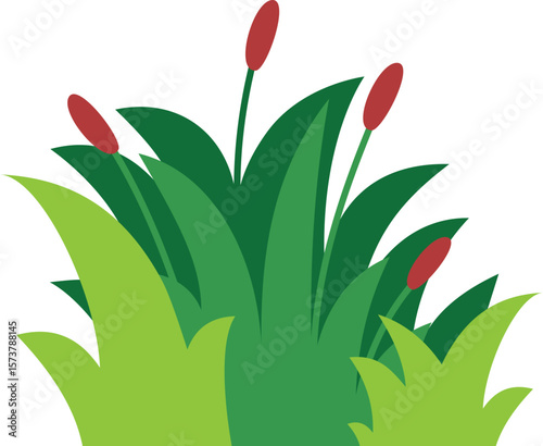 Grass bush in shades of green