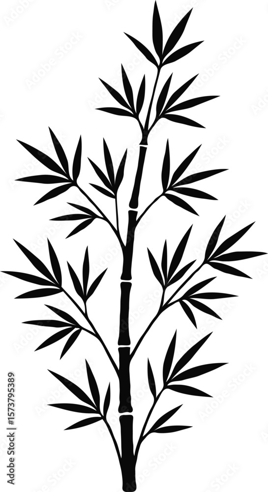 Naklejka premium Elegant Bamboo Silhouette A Black and White Botanical Illustration