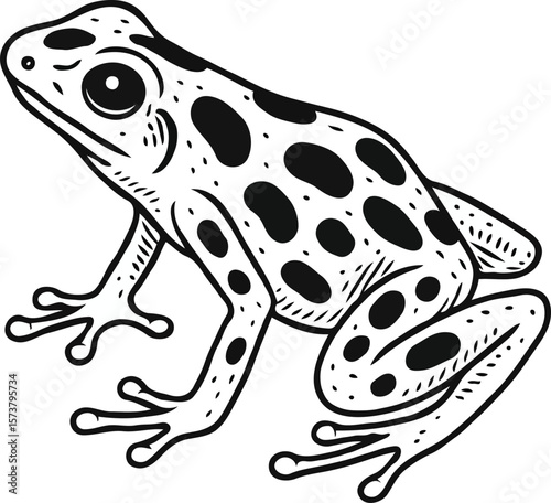 Detailed Line Art Illustration of a Spotted Frog