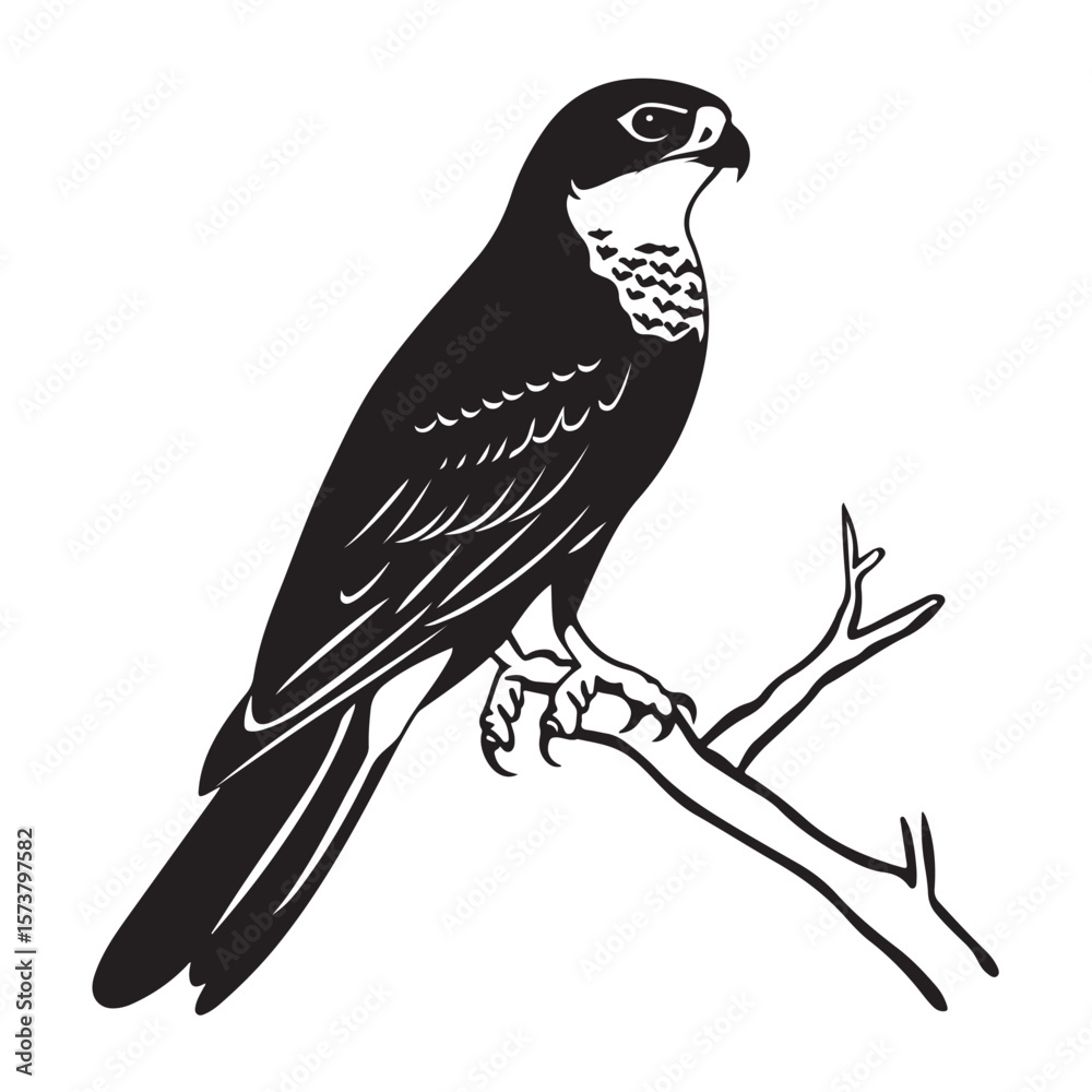 Fototapeta premium falcon on the tree branch line art silhouette vector illustration