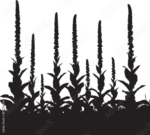 Striking black and white silhouette of tall, elegant digital plant vector illustrations, perfect for nature-themed designs, backgrounds, or graphic elements symbolizing growth and organic forms