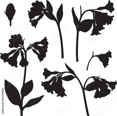 Diverse botanical silhouettes showcasing various plant stages, including blossoming flowers, elegant stems, and delicate leaves, perfect for natural design elements and organic-themed projects