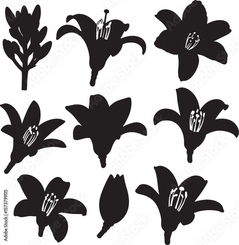 Elegant black silhouettes of various lily blossoms and buds, perfect for graphic design, botanical illustrations, educational materials, and decorative art projects, striking floral vector collection