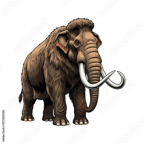 Ancient mammoth on a white background