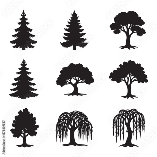 Collection of silhouetted trees featuring conifers and deciduous varieties
