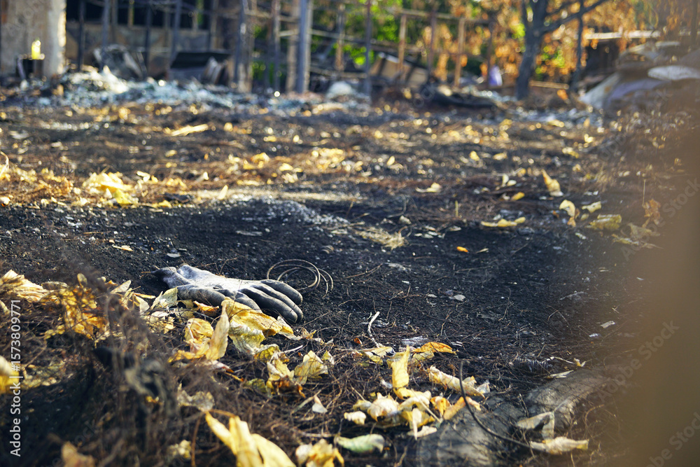 Obraz premium Abandoned glove on scorched earth after wildfire, symbol of disaster aftermath and environmental destruction. Metaphor for human absence, tragedy, irreversible loss. Insurance loss assessment concept