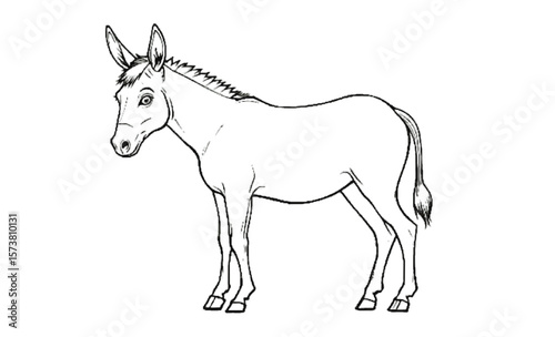 "Donkey Line Art Vector – Clean Farm Animal Outline for Coloring and Design"