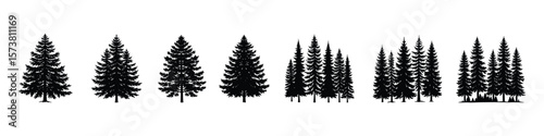 Silhouette vector set of bamboo grove illustrations with dense stalks and leaves, Silhouette set of bamboo plant illustrations with dense stems and leaves in natural black style
