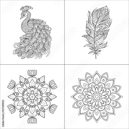 Intricate peacock feather and mandala outlines calling to creativity detailed line art on a white