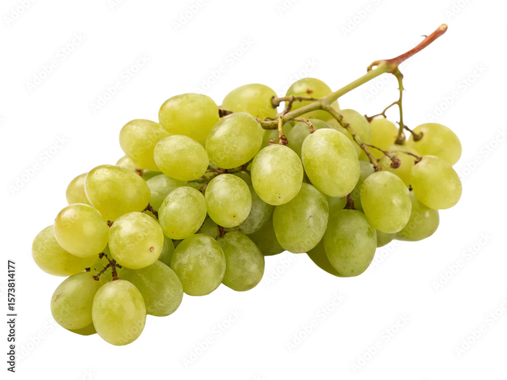 Fototapeta premium A vibrant bunch of fresh, green grapes with a delicate stem, glistening and plump, isolated on a pure transparent background