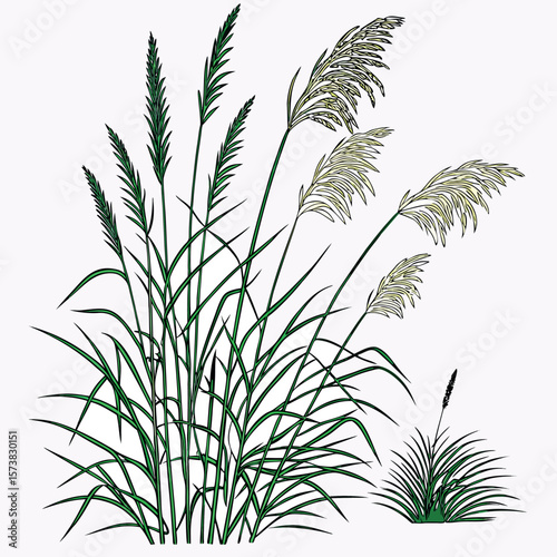 Stylized Illustration of Green and Cream Colored Reeds Swaying in the Breeze, Representing Nature's Delicate Beauty