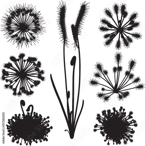 Striking collection of diverse plant silhouettes, including unique spiky and fuzzy botanical forms, ideal for nature-themed designs, abstract patterns, and organic graphic elements in creative project