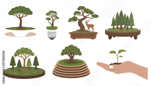 Small potted plants, including bonsai and flowering varieties, for home and garden