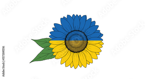 Vibrant sunflower symbolizing ukrainian pride and hope in challenging times