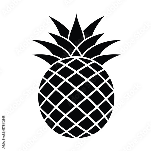 vector illustration of pineapple