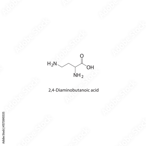 2,4-Diaminobutanoic acid skeletal structure. Amino acid compound schematic illustration. Simple diagram, chemical formula.