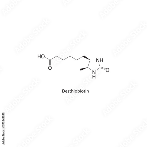 Desthiobiotin skeletal structure. Vitamin derivative compound schematic illustration. Simple diagram, chemical formula.
