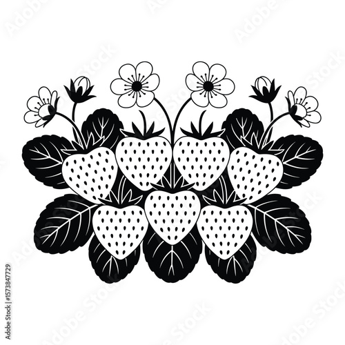 Strawberry Plants with Berries and Blossoms Illustration