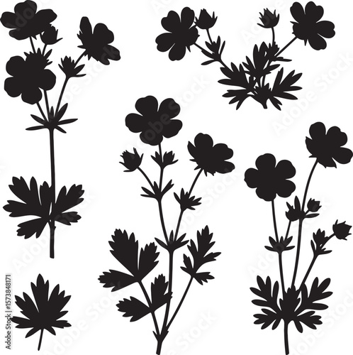 Elegant floral silhouettes featuring delicate wild herbs and various plants, ideal for nature-inspired designs, botanical illustrations, decorative elements, and organic patterns for diverse creative 