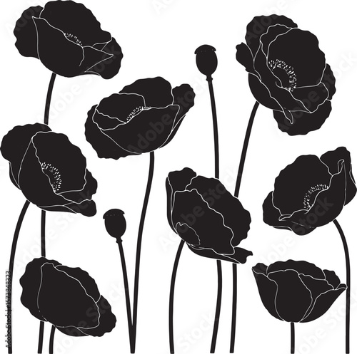 Stylish black poppy flower silhouettes with delicate outlines, ideal for graphic design, textile prints, memorial themes, and elegant decorative art projects needing a classic floral vector