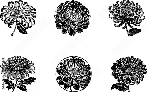 Chrysanthemum Mum Silhouette Vector Pack