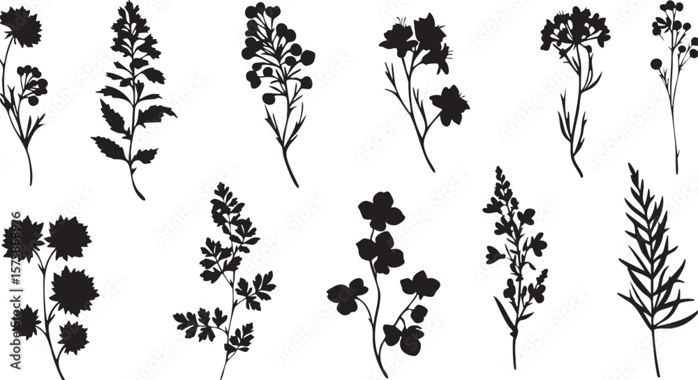 Fototapeta premium Vector art of an assortment of delicate floral silhouettes, capturing the essence of wildflowers and garden blooms in a minimalist style isolated on transparent background
