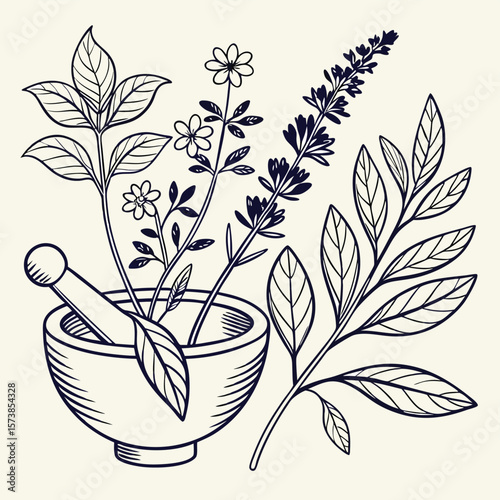 Herbal illustration in mortar and pestle