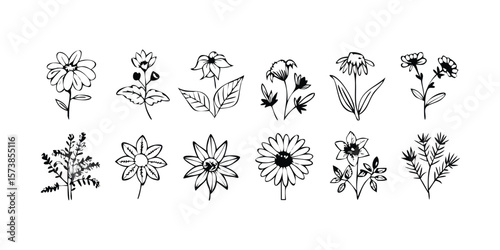 Line icon set featuring medicinal herbs and plants perfect for natural health alternative medicine herbal remedies and botanical designs showcasing a variety of plant species