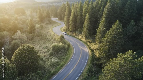 Car navigating a winding road through a dense evergreen forest
