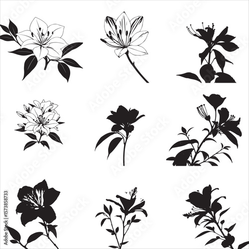set of black silhouettes of flame azalea bundle pack collection 