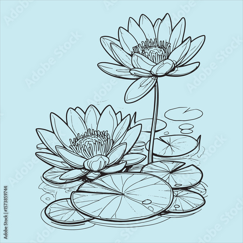 vector silhouette image of a lotus flower floating in the water, and round leaves, black, bold design