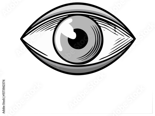 Human eye illustration with detail and hatching in black and gray in vector format