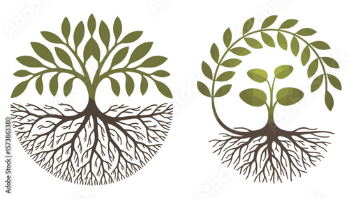 Vector illustration of a tree with prominent roots, embodying nature's growth and ecological balance through artful design