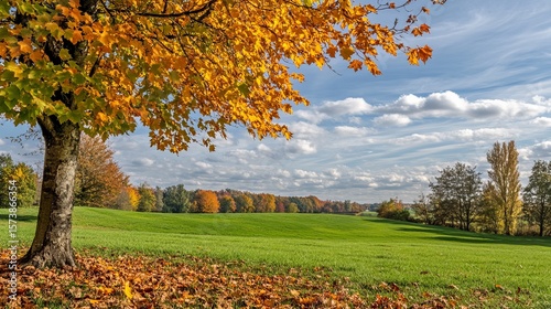 Golden autumn foliage graces a verdant field under a partly cloudy sky.  Fallen leaves scatter near a tree, hinting at seasonal change