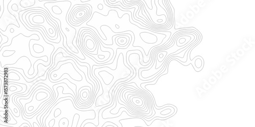 Modern location discovery vector topo map design White background with topographic world grid wave Topographic map geographic line texture.	