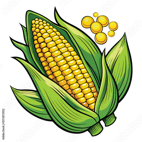 Fresh yellow corn on the cob with green leaves, an isolated agricultural crop