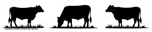Minimalist Vector Silhouettes of Angus Cattle for Butcher Logos, Farm Signs, and Organic Label Art