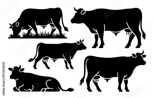Black Angus Cattle Silhouettes in Grazing, Standing, and Herding Poses for Ranch Design Templates