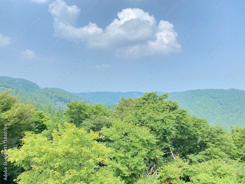 Obraz premium Mountain 山