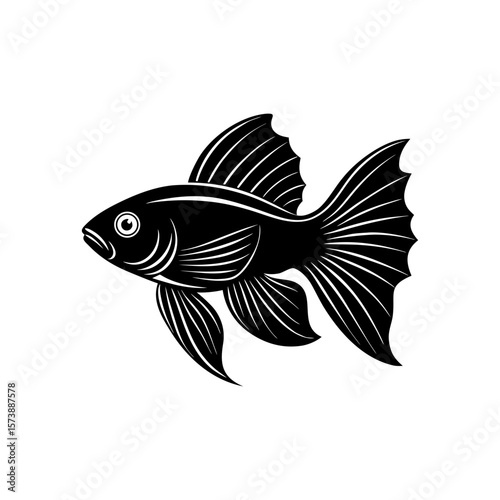 Beta Fish Clipart Vector Illustration