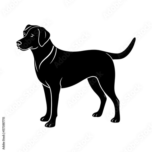 Labrador Retriever Clipart Vector Illustration