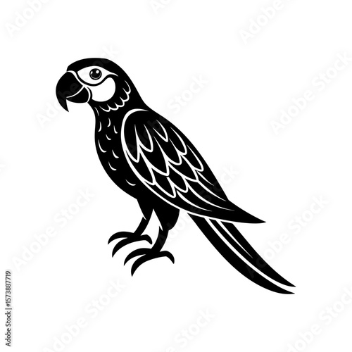 Macaw Clipart Vector Illustration