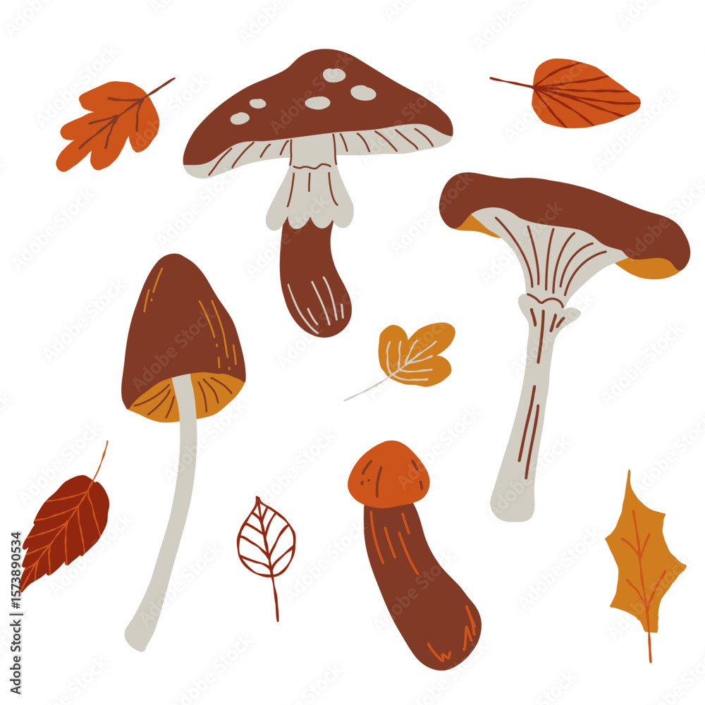 Mushrooms plants. Hand drawn natural foods. Collection of fall elements for scrapbooking, home decor and design, greeting card, banner, poster, label