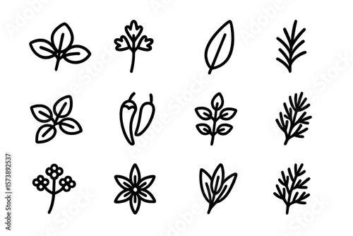 Herb icons set: minimalistic botanical design for digital use