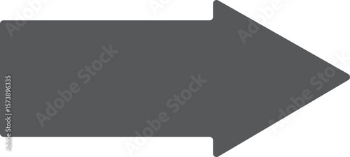 Arrow Right flat vector icon. Flat gray symbol. Pictogram is isolated on a white background. Designed for web and software interfaces.