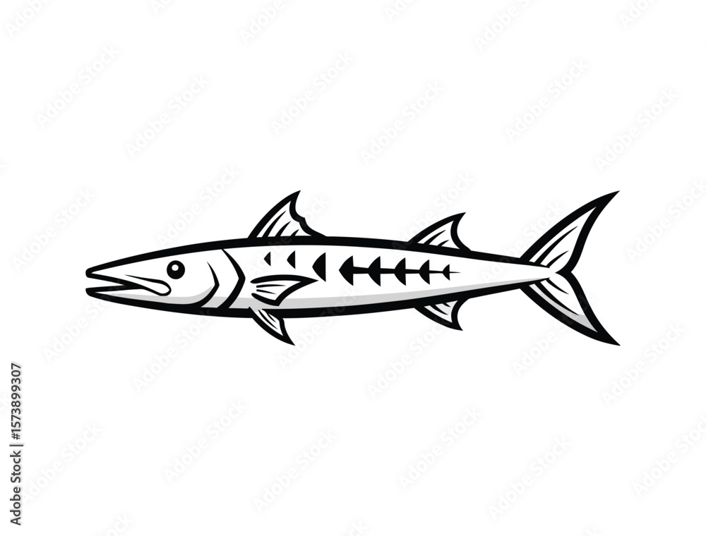 Fototapeta premium Black and white illustration of a barracuda fish, a predatory marine animal.