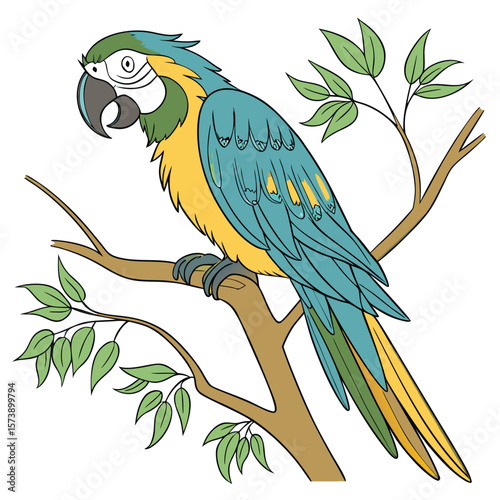 blue and yellow macaw parrot