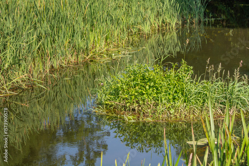 The small Grabia River in central Poland.