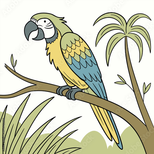 vector illustration of a parrot