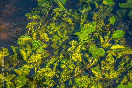 The small Grabia River in central Poland.